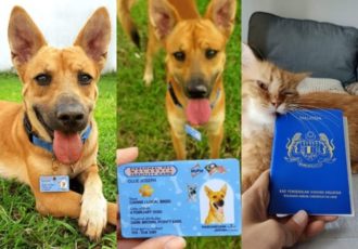 Pet Passport