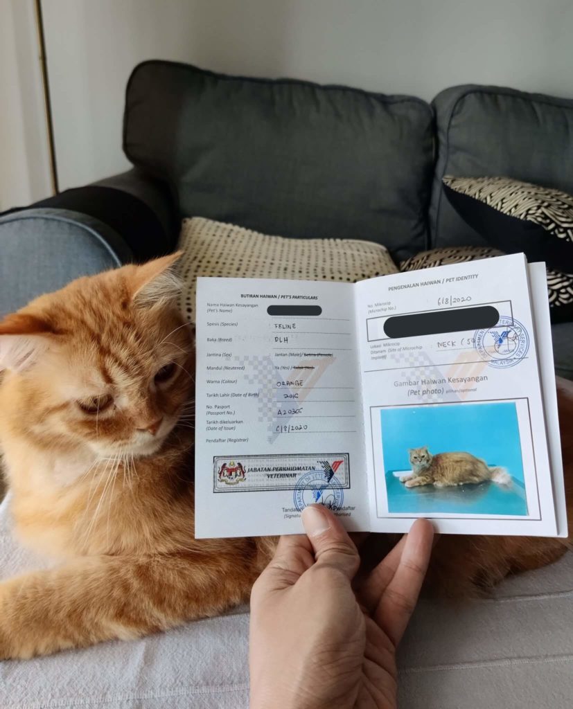 pet-passport-cat