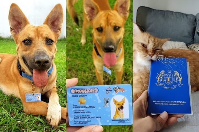 Pet Passport