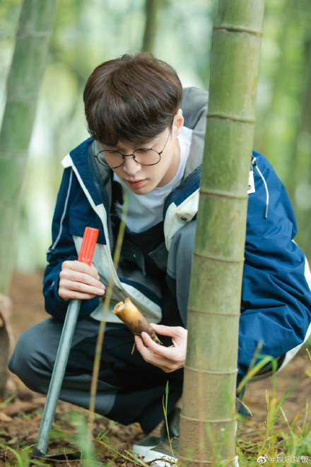 xiangwangshenghuo-zhangyixing-tree