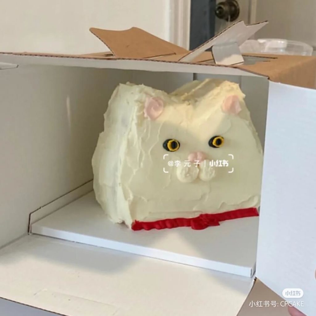 cake-funny-cat