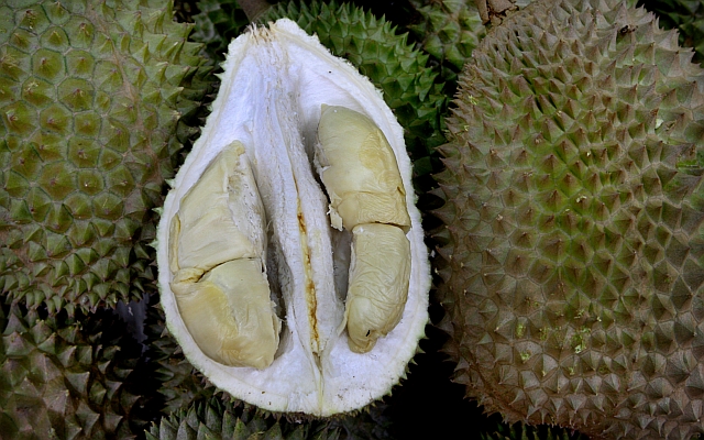 durian-black-pearl-heizhenzhu