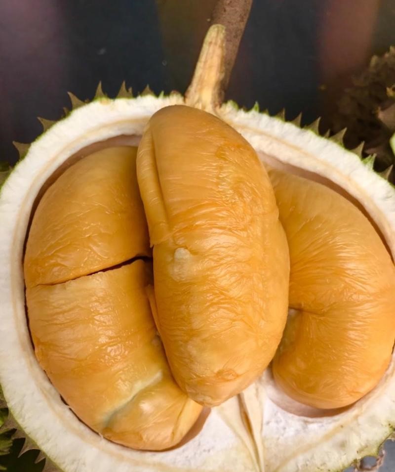 durian-heici-black-thorn-cut