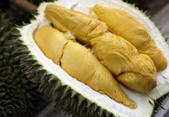 Durian Mas D101