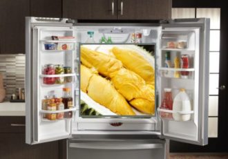 Refrigerator Durian