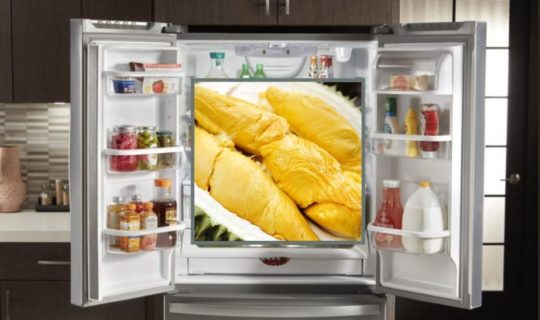 Refrigerator Durian