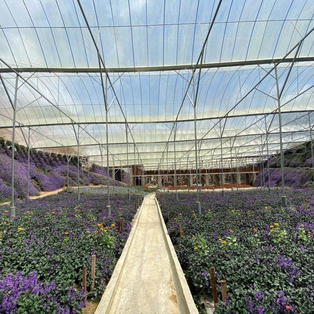 cameron-flora-park-greenhouse