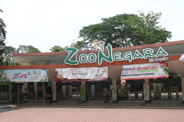 birthday-freebies-march-zoo-negara