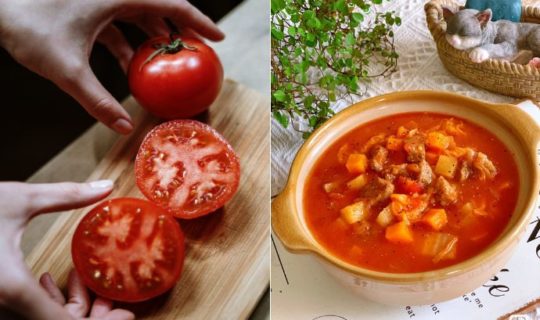 Best Easy Tomato Recipes Feature