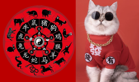 Slider Different Chinese Zodiac