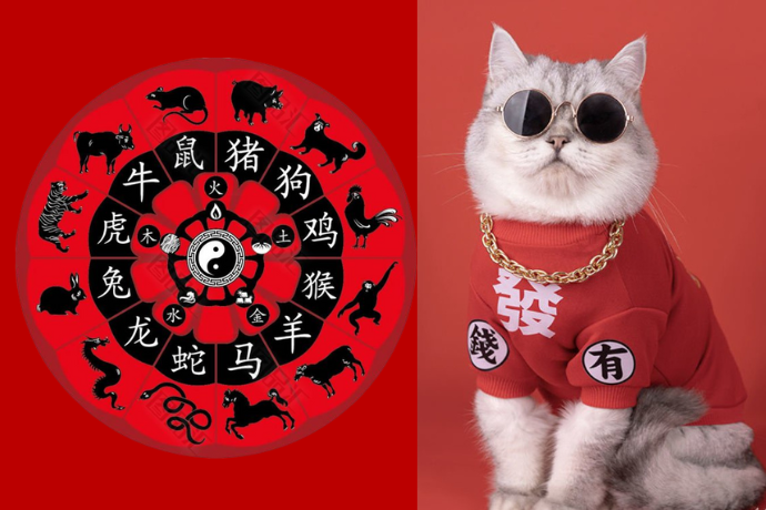 Slider Different Chinese Zodiac
