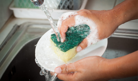Kitchen Sponge Main Photo