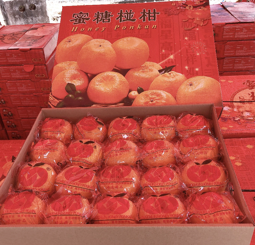 新年特辑 | 年柑全身都是宝?教你快狠准选购小技巧 | 酱情报 | 羊咩咩 | 就酱YOUNG