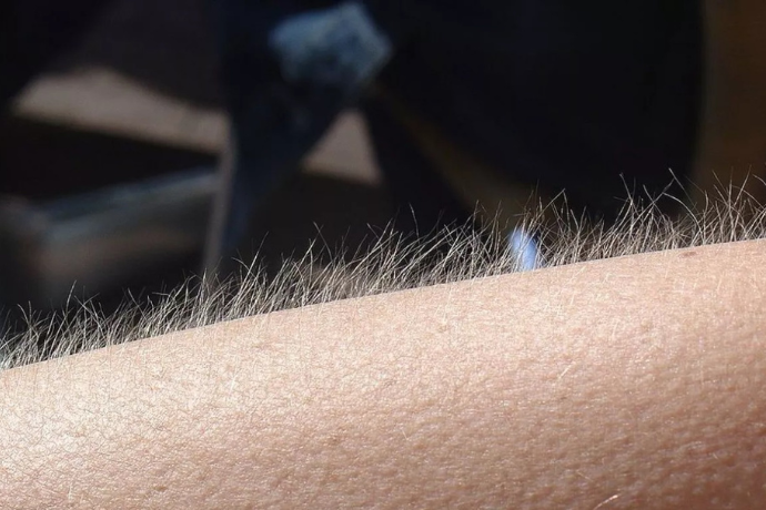 Slider-goosebumps
