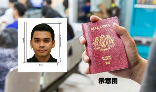 Diy Passport Sized Photo By App Feature