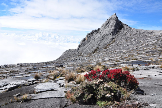 Slider-featured-image-21-1