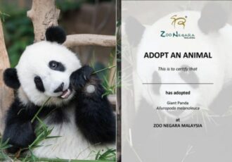 Adopt Our Animals Zoo Negara Feature