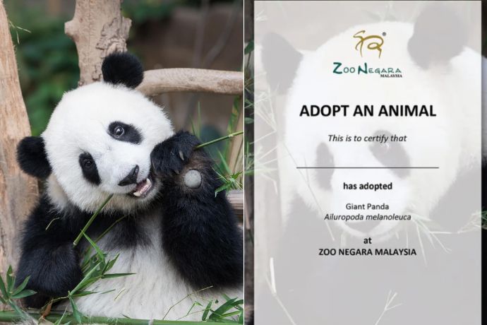 Adopt Our Animals Zoo Negara Feature