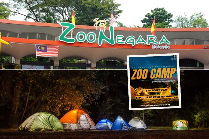 zoo-negara-zoo-camp-feature