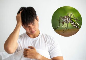 Warning Signs Of Dengue Fever Feature