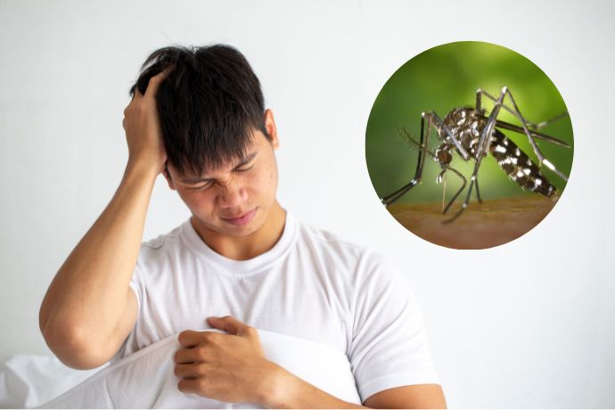 Warning Signs Of Dengue Fever Feature