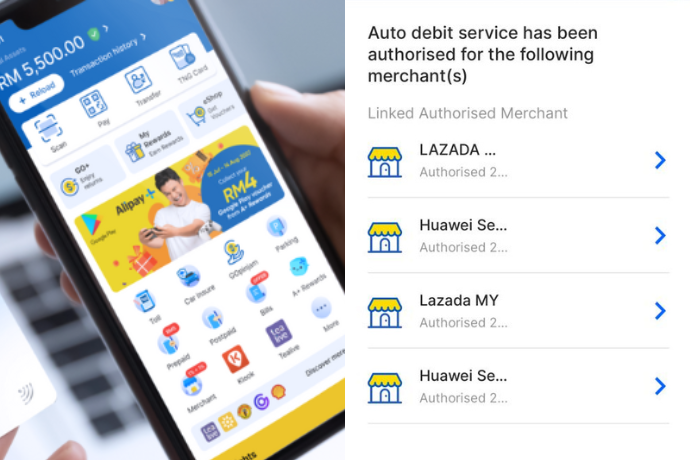 Tng Ewallet Auto Debit Authorised App