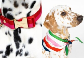 Kate Spade The Pet Shop Series Feature