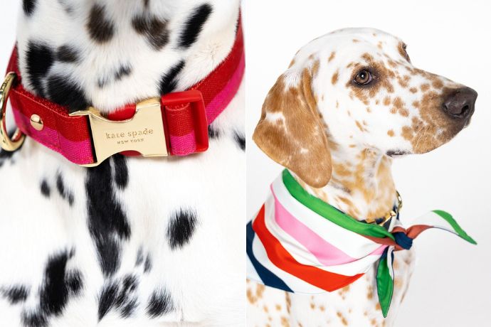 Kate Spade The Pet Shop Series Feature