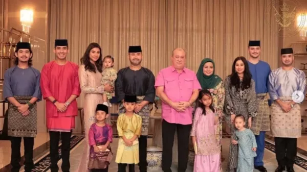 Know More About Lastest Agong Sultan Ibrahim 7