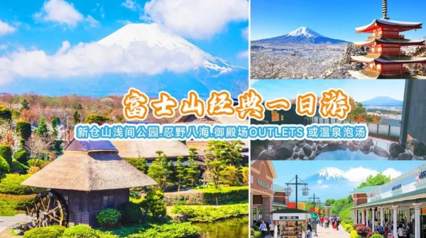 Tokyo Mount Fuji One Day Trip