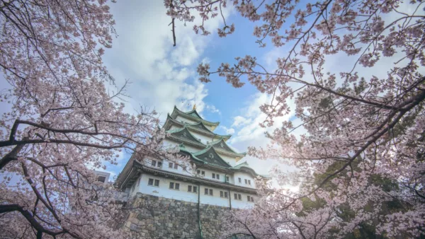 Must Visit Sakura Attractions Japan Korea 2024 11