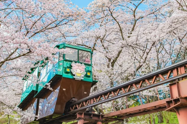 Must Visit Sakura Attractions Japan Korea 2024 5