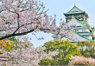 Must Visit Sakura Attractions Japan Korea 2024 8