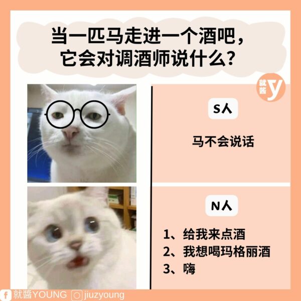 How To Distinguish Between N And S Personality In Mbti 1