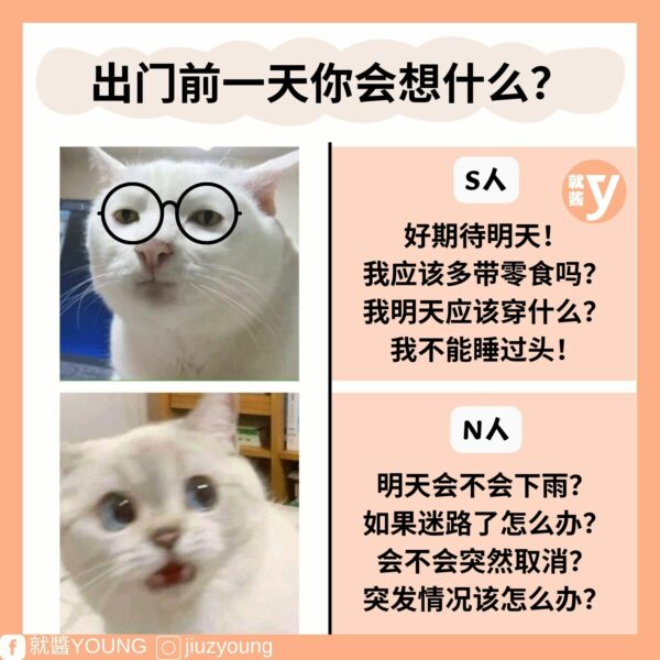 How To Distinguish Between N And S Personality In Mbti 2