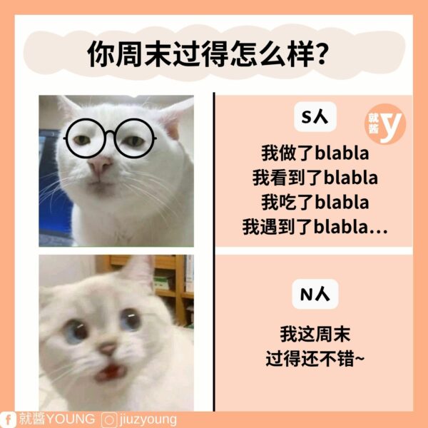 How To Distinguish Between N And S Personality In Mbti 3