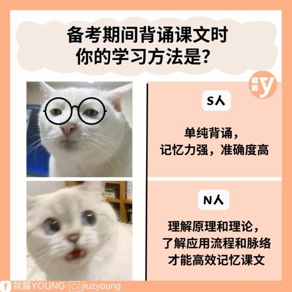 How To Distinguish Between N And S Personality In Mbti 5