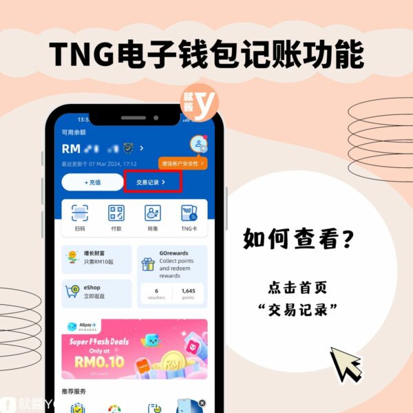 Touchngo Ewallet Accounting Feature 1