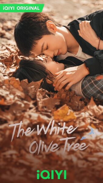 Upcoming 2024 Romance Chinese Dramas The White Olive Tree Poster 02