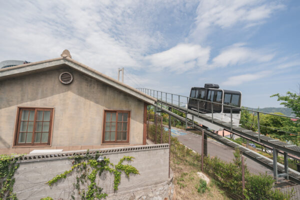korea-travel-spot-ulsan-nam-gu-whale-city-jangsaengpo-hydrangea-festival
