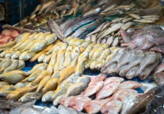 4 types of fish have to eat less