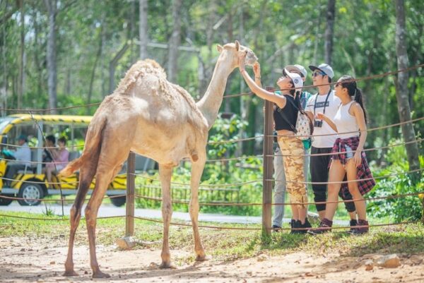 vietnam phu quoc 10 travel spots recommendations