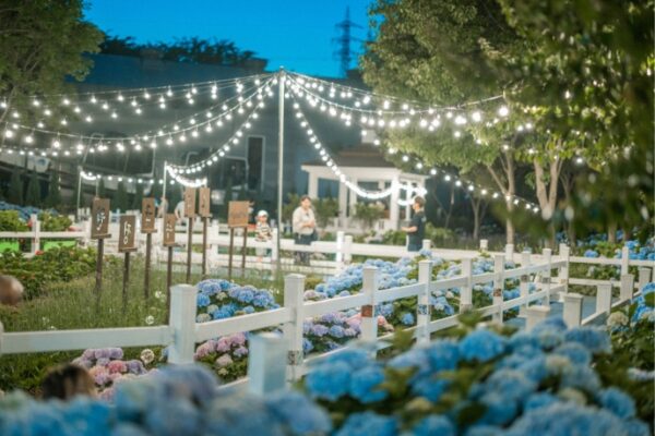 korea-travel-spot-ulsan-nam-gu-whale-city-jangsaengpo-hydrangea-festival
