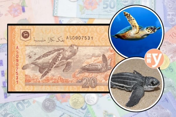 What Is The Painting On Malaysia Ringgit And Sen (3)