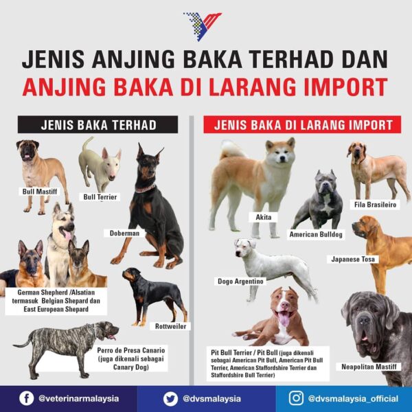 Anjing Tidak Dibenarkan
