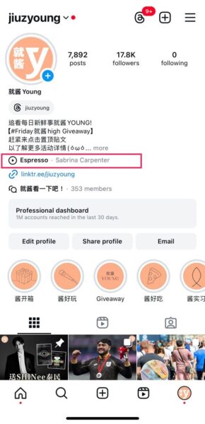 Instagram Music Added 1