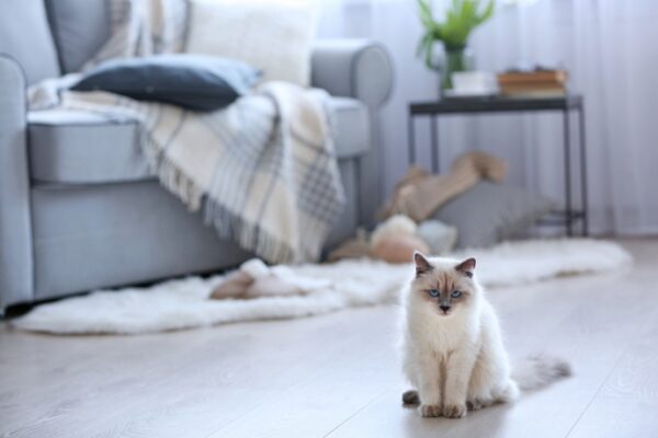 5 Question Have To Ask Before Buy House3