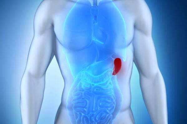 Traditional Chinese Medicine Health Schedule2