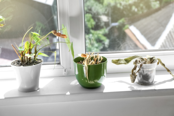 Clean house with fengshui