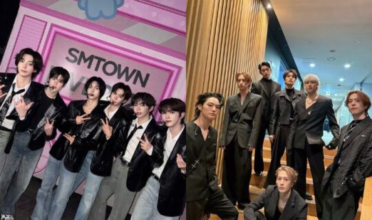 10 Types Of Fans In Fandom Culture